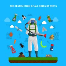 How to Choose the Best Pest Control Near Me: Tips for Finding the Right Services