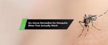 MDXConcepts — Six Home Remedies for Mosquito Bites That Actually...