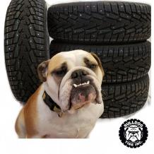 Bulldog Tire 