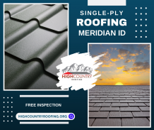 Single-Ply Roofing Meridian – Telegraph