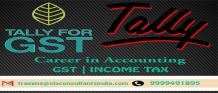 Build Your Career in Accounting with Best Tally ERP 9 Training Course in Delhi NCR. Tally ERP 9 t... - JustPaste.it