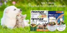 Top 5 Best Flea And Tick Control Products for Your Pet Dog - beBee Producer