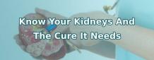 Know Your Kidneys And The Cure It Needs