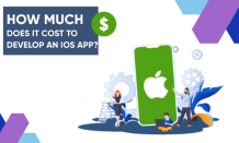 How Much Does It Cost to Hire an iOS App Developer