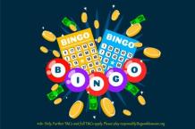 Have Fun with Online Bingo Game UK