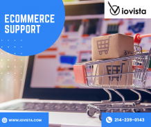Unlock Success: E-commerce Support for Your Online Venture