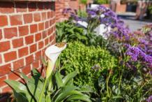 Best Landscape Designer &amp; Construction | Melbourne