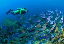 Adventure Tour Packages - Andaman Unlocked