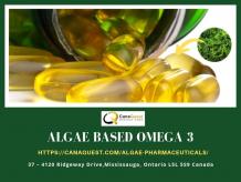 Algae Based Omega 3  Algae pharmaceutical products are a blessing of medical science. DHA, an ess... - JustPaste.it