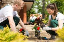 Get a Peaceful Environment with Landscaping in Burnaby
