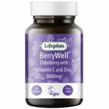 BerryWell Elderberry Supplement With Vitamin C And Zinc