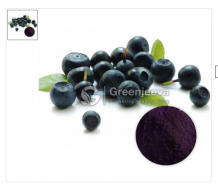 acai benefits, acai powder, acai berry benefits, acai berry extract, herbal extracts wholesale, wholesale herbal products, herbs wholesale suppliers, food industry