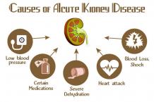 Acute Kidney disease treatment in Ayurveda