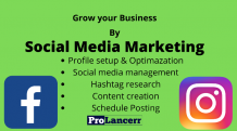 Prolancerr - Social Media Marketing