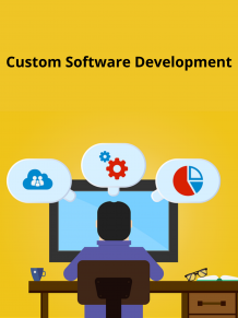 custom software development