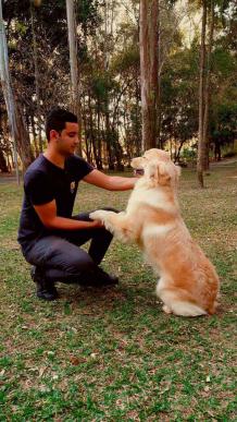 Adestrador de cães a domicílio na zona sul - Renan Adestrador