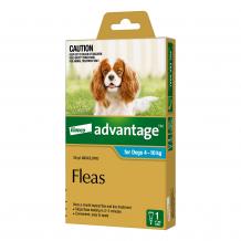  Buy Advantage For Large Dogs 10 To 25kg (Red) - Free Shipping