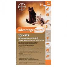  Buy Advantage Multi (Advocate) Kittens & Small Cats Up To 10lbs (Orange) Online At Lowest Price
