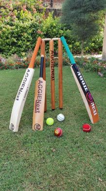 Buy Cricket Equipment Online at Discounted Prices India