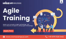 Your Roadmap to Online Agile Training