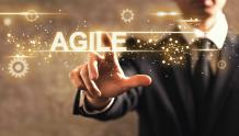 What Are The 3 Roles in Agile Project Management?