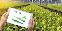 Agtech Software Development Company