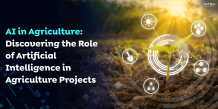 AI in Agriculture: Discovering the Role of Artificial Intelligence in Agriculture Projects