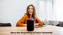 Fix: Alexa Not Responding - Alexa Helpline