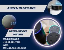 Amazon Alexa Device Offline and Alexa Say Offline?