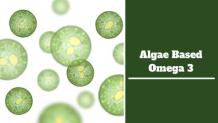 In-Depth Learning on Algae Based Omega 3 &#8211; pharmaceuticals