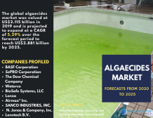 Understanding the importance of Algaecides