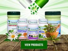 Ajamoda, Celery (Apium graveolens) - Properties, Benefits &amp; Uses