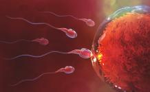 All you need to know about male fertility