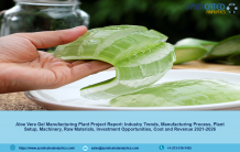 Aloe Vera Gel Project Report 2021: Plant Setup, Manufacturing Process, Business Plan, Industry Trends, Machinery Requirements, Raw Materials, Cost and Revenue 2026 &#8211; SoccerNurds