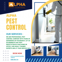 Alpha Pest Control