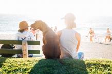 6 Tips For Picking Up Women At The Dog Park