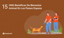 15 Mejores ONG Benéficas para el Bienestar Animal en España