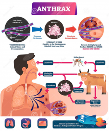 Anthrax, the infectious disease found in Kerala - GS SCORE