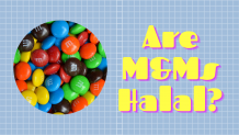Are M&amp;Ms Halal Or Haram? Everything You Need To Know - HalalHaramWorld