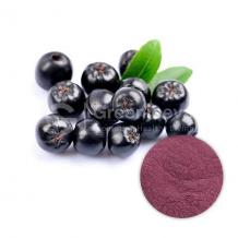 aronia berry benefits, aronia powder, aronia powder uses, bulk aronia powder, aronia berry health benefits, aronia extract powder