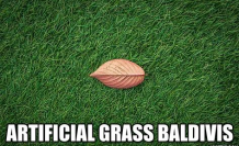 Get artificial grass Baldivis installed at the earliest