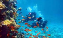 Andaman Honeymoon Package | Book Holiday Packages - Arcadia