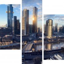 Asbestos Insurance Necessary in Melbourne