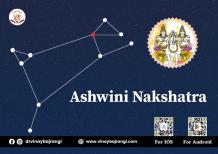 Characteristics of male Ashwini Nakshatra 