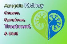  Atrophic Kidney &#8211; Causes, Symptoms, Treatment, & Diet!