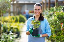Are You in Search of Landscaping Services in Vaughan?