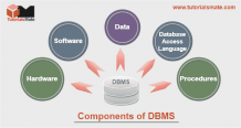 Five Major Components of DBMS - TutorialsMate