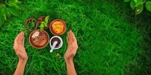 Best Ayurvedic Clinic in Chandigarh, Top &amp; Famous Ayurvedic Clinic in Chandigarh