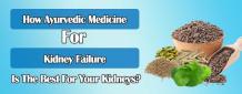  How Ayurvedic Medicine For Kidney Failure Is The Best For Your Kidneys?