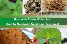 Ayurvedic Herbs Which Are Used In Nephrotic Syndrome Treatment